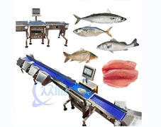 Hochwertige Fisch Sortiermaschine Fisch Größenmaschine Leistung 1,3KW Fokus Fisch Einstufung