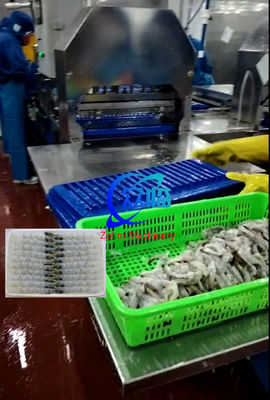 Guter Preis 100 Stück Tray Automatische NOBASHI Maschine und Tempura Garnelen Dehnmaschine Online
