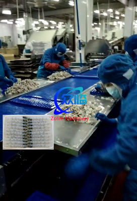 Guter Preis Hochwertige und billige Tempura-Maschine mit Garnelen-Stretchmaschine Online
