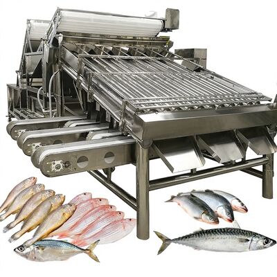Guter Preis Hochgeschwindigkeits-Zolim-Automatische Saury-Sortiermaschine Roller-Sortiermaschine 1 Person Betreiber Kleiner Fisch Meeresfrüchte Größenausrüstung Online