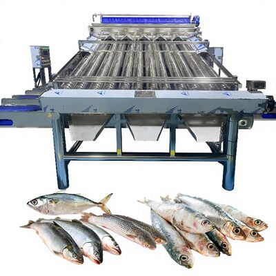 Guter Preis 18pcs Rollen SS304 Kleines Fisch Sortiermaschine Kleine Fisch Sortierlinie Fisch Größenmaschine Fisch Roller Grader Online