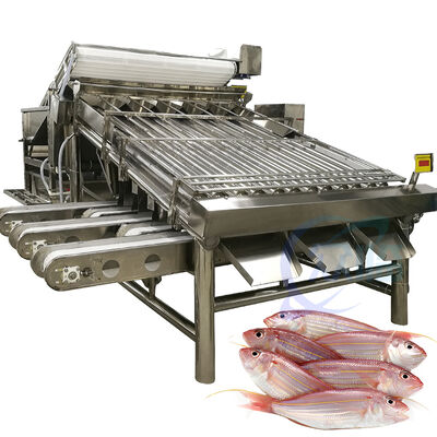 Guter Preis Hochleistungs-Fisch-Sortierungsmaschine Fisch-Rollensortierer 4,9KW 2 T/H Seefisch-Sortierer Fisch Sortierungslinie Zolim Fisch-Sortierungsanlage Online