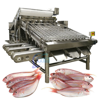 Guter Preis Industrielle SUS304 Fisch-Sortiermaschine, Multiscene Meeresfrüchte Sortiermaschine Online