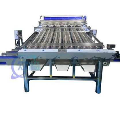 Guter Preis 4900W SUS304 Garnelen-Sortiermaschine, langlebige Garnelenwasch-Sortiermaschine Online