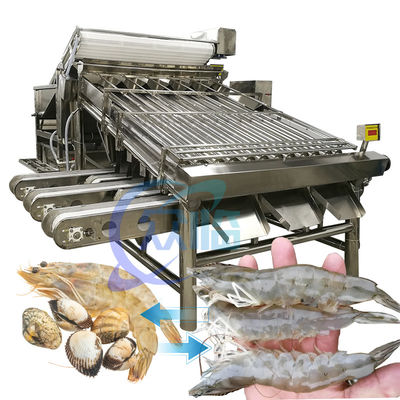 Guter Preis Edelstahl-Garnelen-Sortierungsmaschine praktisch 6000x4000x2200mm Online