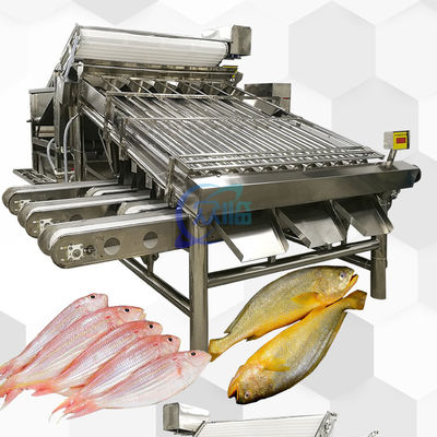 Guter Preis Automatische Fisch-Klassifiziermaschine 4900W Mehrzweck-Anti-Erode Online