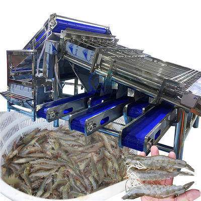Guter Preis Industrie-Garnelen-Sortiermaschine Mehrfach-Szenen-Wasserdicht-Automatisch Online