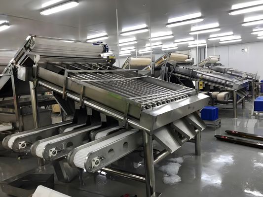 Guter Preis 3P Langlebige Garnelen-Sortiermaschine, Anti-Erosions-Garnelen-Sortieranlage Online