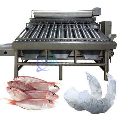 Guter Preis Stabile kleine Fisch-Klassifizierungsmaschine Mehrfunktions 6000x5200x2200mm Online