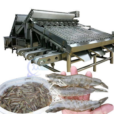 Guter Preis 1500 kg Fische Shrimp Grader Maschine Mehrzweck für Industrie Online