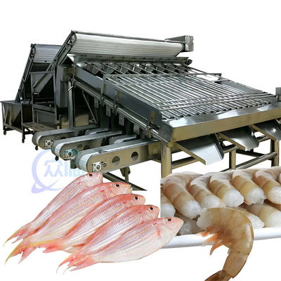 Guter Preis ISO 1500KG Meeresfrüchte Sortiermaschine, Multifunktionsfischgrößen Sorter Online