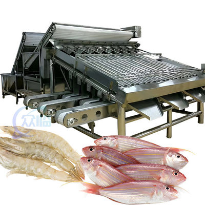 Guter Preis 4.9KW praktische Fischsortiermaschine, automatische Fischsortiermaschine Online