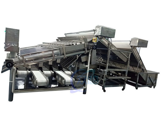 Guter Preis 4900W Garnelen-Sortierungsmaschine Roller Steuerung Anti-Erosion automatisch Online