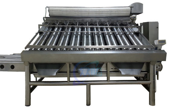 Guter Preis Praktische Roller-Fisch-Sortiermaschine, Multifunktions-Garnelen-Sortierer Online