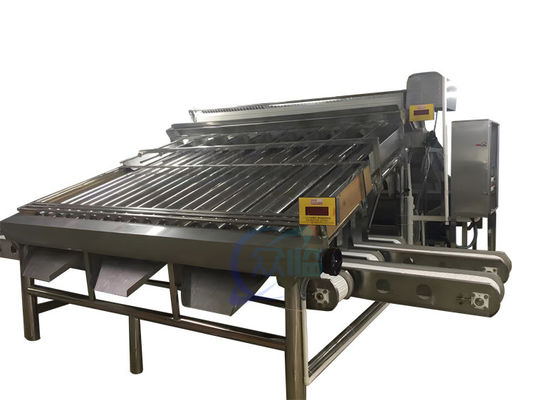 Guter Preis Dauerhafte 4.9KW Garnelen-Graderer-Maschine Automatisch für Garnelen-Größen Online