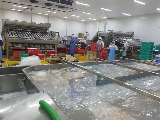 Guter Preis ISO Industrieautomatische Fischverarbeitung, Multifunktionsanlage zur Verarbeitung von Meeresfrüchten Online