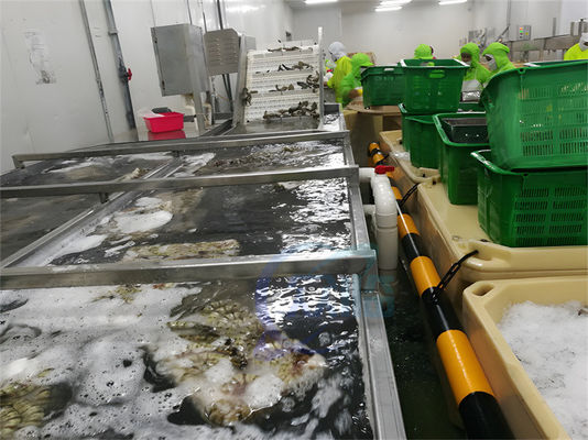 Guter Preis SUS304 Stabile Fischverarbeitungsmaschine Wasserdicht für die Garnelenreinigung Online