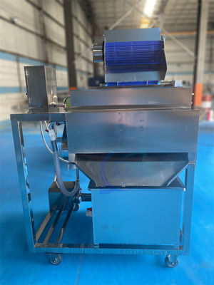 Guter Preis 1500W Stabil Fischverarbeitungsanlage Ausrüstung, Industrie Garnelen Whisker Separator Online
