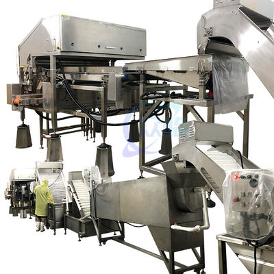 Langlebige 800 Watt Garnelenverarbeitungsanlage, automatisches Garnelenkopf entfernen System