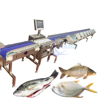 Vollautomatische Fischgewichtssortiermaschine Nahrungsmittelförderer Waage