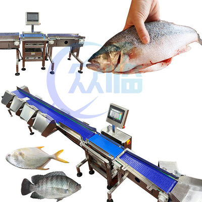 Guter Preis Fischgrößenmaschine für den Handel Einzelgewichtsbereich 1g-3g Pangasius-Klassifizierung Online