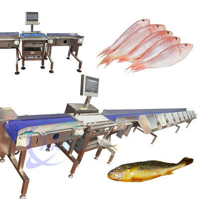 Hochpräzise Sortiermaschine für lebende Fische