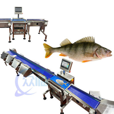 Guter Preis 121 Stück/min Fischgewichtsgrader Fischgewichts- und Sortiermaschine für die aquatische Umwelt Online