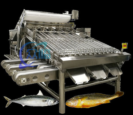 Guter Preis Effiziente kleine Fisch-Klassifiziermaschine Makrele-Klassifizierungssystem Große Kapazität 5T/h Online