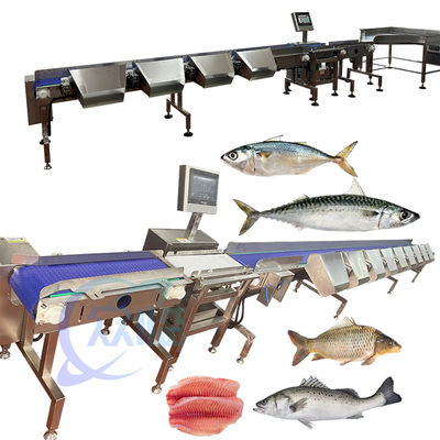 Computer-Steuerung Bass-Grading-Maschine Bass-Gewichts-Graderer 120-150 Stück/Min