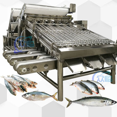 Fischklassifiziermaschine für kleine Fische und Fischklassifizierungsgeräte Klassifizierungssystem