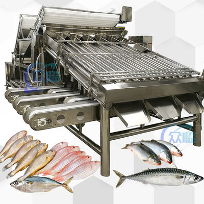Guter Preis Edelstahl 304 Gelb Croaker Grader 12 Stück Roller Sardinen Makrele Grader online