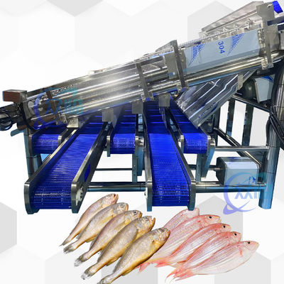 Guter Preis 18 Stück Rollen-SS304 kleine Fische Sortierer Kleine Fische Sortierer Online