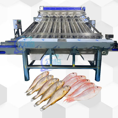 Guter Preis Automatische Fisch-Klassifiziermaschine mit 12 Walzen Automatischer Fisch-Klassifikator für 4-5 Größen Online