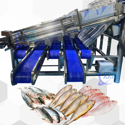 Guter Preis Hohe Stabilität effiziente Pelagische Fisch Sortiermaschine Pelagische Fisch Größenmaschine Online