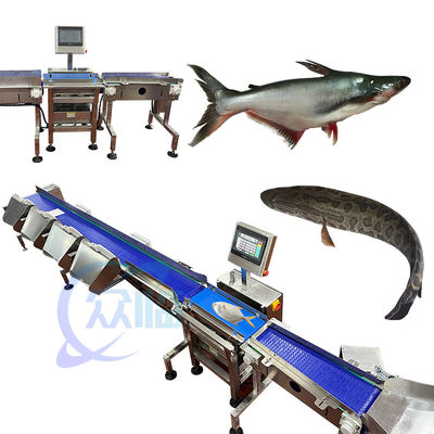 Guter Preis Anti-Korrosions-Fischgewichts-Sortierer Online