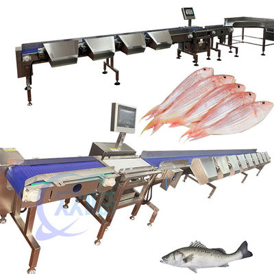Guter Preis Pelagische Fisch-Sortierungsmaschine Pelagische Fisch-Gewichts-Sortierer 120-150 Stück/min Online