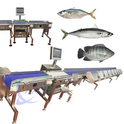 China Spezialität Crap Fish Grader Crap Fish Sorter Crap Fish Sizer Crap Fish Klassifizieren