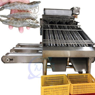 Guter Preis Sortierende Maschine der automatischen Garnele der Sortiermaschine der Meeresfrüchteprozessausrüstungsgarnelenreinigung für Garnelenschale Online