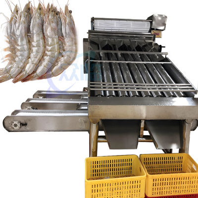 Garnelenreinigungs- und Sortiermaschine Automatische Garnelensortiermaschine Maßgeschneiderte Garnelensortiermaschine nach Bedarf