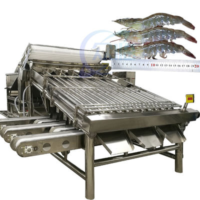 Automatischer Garnelen-Sortierer Garnelen-Sortiermaschine Frischgarnelenwaschmaschine Walz-Sortiermaschine