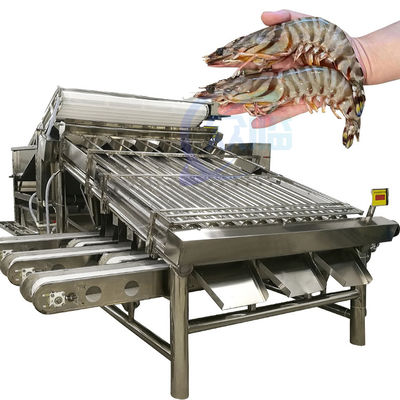 Guter Preis Fischgrößen- und -spezifikationssiebmaschine Verarbeitungsund sortierende Maschine der leistungsfähigen Fische Online