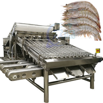 Guter Preis Automatische Garnelen-Sortiermaschine für die Garnelenschälung, frische Garnelenwäsche, Walz-Sortiermaschine, Garnelengrader Online
