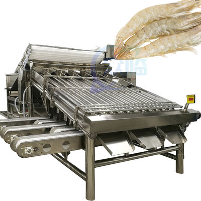 Sortierer und Sortiermaschine für Hummer Sortierer für Garnelen