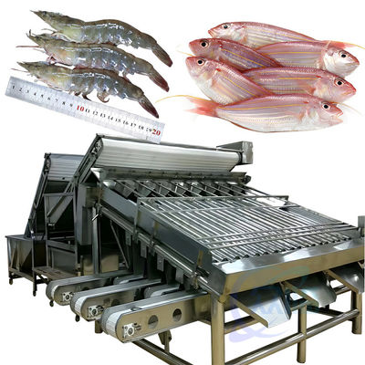 Automatische Garnelen-Sortiermaschine für die Garnelenschälung, frische Garnelenwäsche, Walz-Sortiermaschine, Garnelengrader