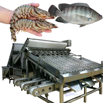 Automatische Garnelen-Sortiermaschine für die Garnelenschälung, frische Garnelenwäsche, Walz-Sortiermaschine, Garnelengrader