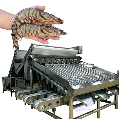 Guter Preis Klassifizierer für die Verarbeitung von Meeresfrüchten und Garnelen Automatischer Schnellfisch Klassifizierer für die Größe von Garnelen Garnelen-Produktionslinie Screening-Maschine Online