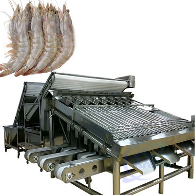 Produktionslinie für integrierte Garnelen- und Fischreinigungsmaschine