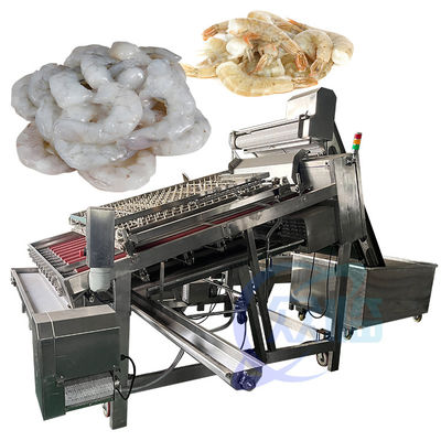 Voll automatische Produktion von Garnelen Schälen Das gesamte Material ist 304 Edelstahl Garnelen Waschmaschine