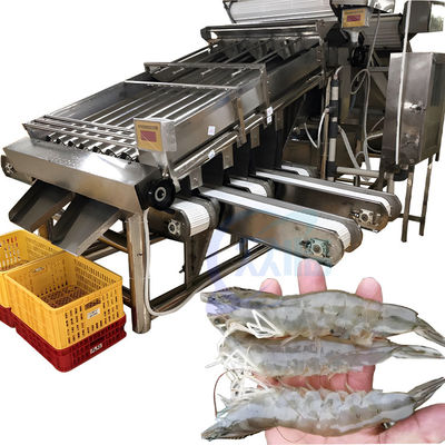 Guter Preis Garnelentrennmaschine Hochpräzisionsgarnelentrennmaschine für die Verarbeitung von Meeresfrüchten Online