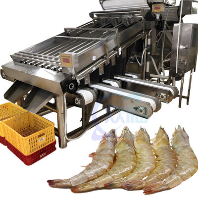 Fisch- und Garnelenverarbeitungsanlage Größensortiermaschine Fischgrößensortiermaschine